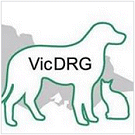 VICTORIAN DOG RESCUE